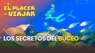 Los secretos del buceo: qué te hace falta y los mejores destinos de todo el mundo para sumergirse