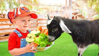 Oliver Diana & Roma feed the Animals at the Emirates Park Zoo