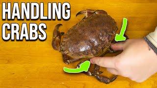 How to Handle Crabs (Avoid Getting Pinched!) Fisherman Explains