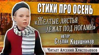 Юный артист! Стихи про осень прекрасно читает мальчик. Красивый стих о природе для детей на конкурс