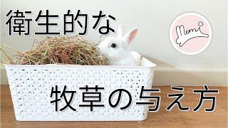 うさぎの衛生的な牧草の与え方