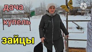 Дача зима.Зайцев целый хоровод.Посмотрели купель.Воду Святую уже Подключили