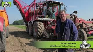 Suikerbieten rooien met de Vervaet Beet Eater