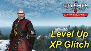 The Witcher 3 Wild Hunt XP GLITCH EASY FARM LEVEL UP 2024