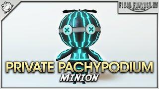 FFXIV - Private Pachypodium Minion