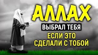 ЭТО СЛУЧИТСЯ С ТОБОЙ, ЕСЛИ АЛЛАХ ЛЮБИТ ТЕБЯ