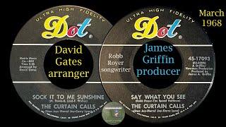 The Curtain Calls "Sock It To Me Sunshine" "Say What You See" David Gates, Jimmy Griffin Robb Royer