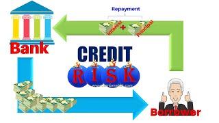 Bank Credit Risk Management