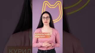 3 породы кошек, которые подойдут пожилым людям  #shorts #коты