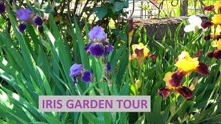 Spring Garden Tour/Iris Varieties