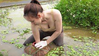 Happy day Catching fish by hand and cooking grilled fish - Eating with my mother | Ngân Daily Life