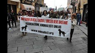 essereumano, inno Animalisti Onlus di Valentina Rubini - Official Video
