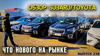 Обзор цен на Toyota и Subaru рынок AUTOPAPA. Мастер Вадя Грузия.#automobile #mastervadya #top #car