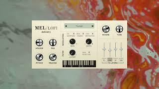 Mel-Lofi Free Mellotron Instrument Plugin for Windows and macOS