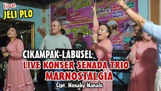 LIVE KONSER - SENADA TRIO MARNOSTALGIA | WARGA LABUSEL-CIKAMPAK IKUT MERIA