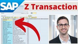 SAP Z Transaction - Overview of custom Transactions and Programs