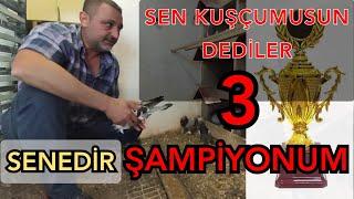 ÜÇ SENEDİR ŞAMPİYON OLAN GÜVERCİNLER.