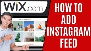 How To Add Instagram Feed to Wix [Quick Guide]