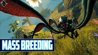 MASS Breeding for Personal Tames! | ARK: Official Small Tribes PvP!