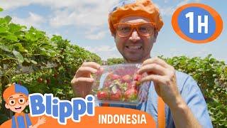 Belajar Makan Sehat Di Peternakan Tanaka | Blippi Bahasa Indonesia - Video Anak | Petualangan Blippi