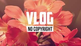 Nekzlo - Heading Home (Vlog No Copyright Music)