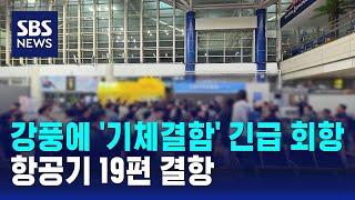 강풍에 '기체결함' 긴급 회항…항공기 19편 결항 / SBS