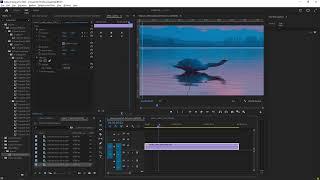 how to make screen pump base effect in premierepro