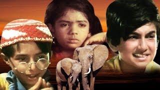 Bahadur Bachhe Full Movie | Latest Hindi Movie | Hindi Motivational Movie