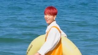 if bts at the beach was dubbed