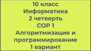 10 класс Информатика 2 четверть СОР 1 Алгоритмизация и программирование 1 вариант ЕМН