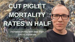 Increase pig farming profits with almost no cost