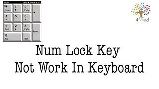 How To Fix Number Key Is Not Working Num Lock | Keyboard Number Keys Not Working | Num Lock Key