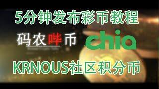 【码农哔币】Chia彩币发布初级教程