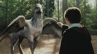 Гарри Поттер пытается приручить Гиппогрифа - "Гарри Поттер и узник Азкабана" отрывок из фильма