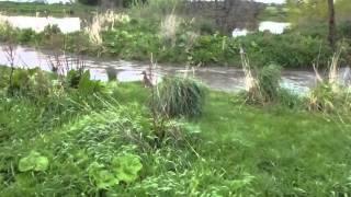 Oakenholt, Flint, North Wales - Flooding 29.04.12 Part 3