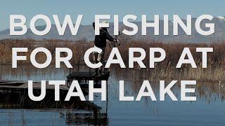 Bow Fishing For Carp Can Help Save Utah Lake's Ecosystem