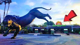 San Diego Zoo California Ultimate Full Tour 2024 - Part 1