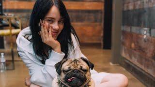 Billie Eilish being cute for 5 minutes and 24 seconds straight (Animal & Kids) 