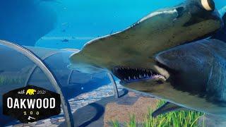 Working SHARK TUNNEL In Planet Zoo!  | Planet Zoo Mod Zoo Speedbuild