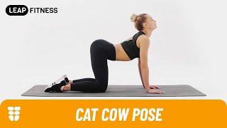 How to Do：CAT COW POSE