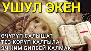 Курандагы УШУЛ экен АЛЛАХТЫН керемети...