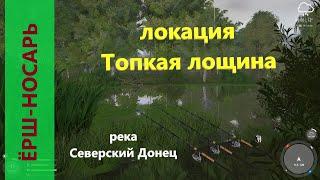 Русская рыбалка 4 - река Северкий Донец - Ёрш-носарь за поворотом реки