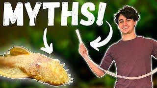 The WORST Fish Keeping MYTHS! Top 10 Aquarium LIES and MYTHS