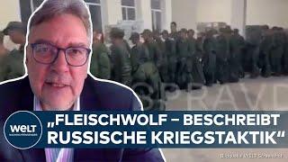 UKRAINE-KRIEG: Putin schickt Nordkoreaner in den "Fleischwolf" – Diese Strategie steck dahinter