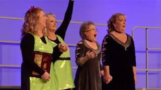 How North Metro Chorus became Sweet Adelines International’s Champion Chorus