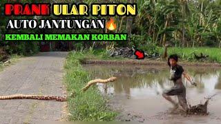 Spesial Prank Terlucu || Ular Piton Bikin Ulah || Dijamin Lucu Paling Extreme