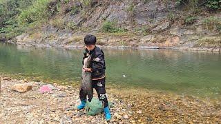 Highland boy khai fished for stream catfish, harvested a bag of fish weighing 15 kg to sell