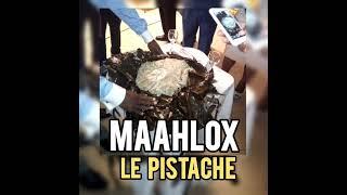 MAAHLOX le vibeur " le pistache "