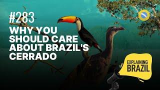 Why you should care about Brazil's Cerrado - Explaining Brazil #283