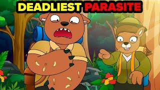 Scariest Parasite on Earth! What Happens When You Are Infected by the Screwworm? (Animation)